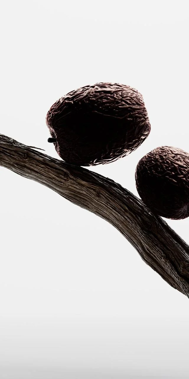 Prologue — pommes noires sur une branche, visuel du chapitre en cours de Double Impact